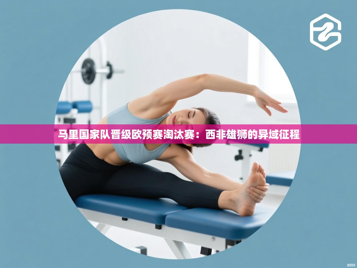 马里国家队晋级欧预赛淘汰赛：西非雄狮的异域征程  第2张